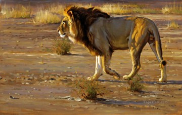 lion 10 Peinture à l'huile